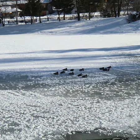 Stubaital Daire Rehoboth Beach